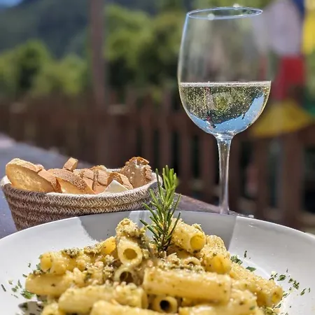Rifugio Aleve Otel